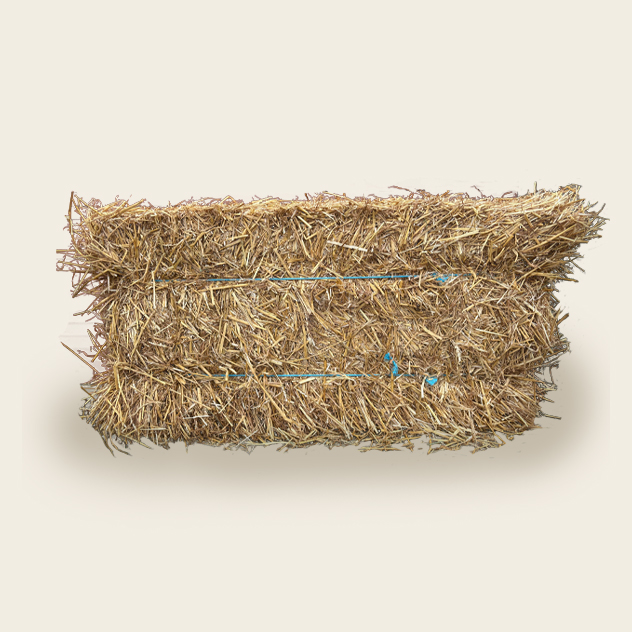 Wheat Straw
